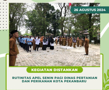 Penanaman Padi Gogo varietas Ceko