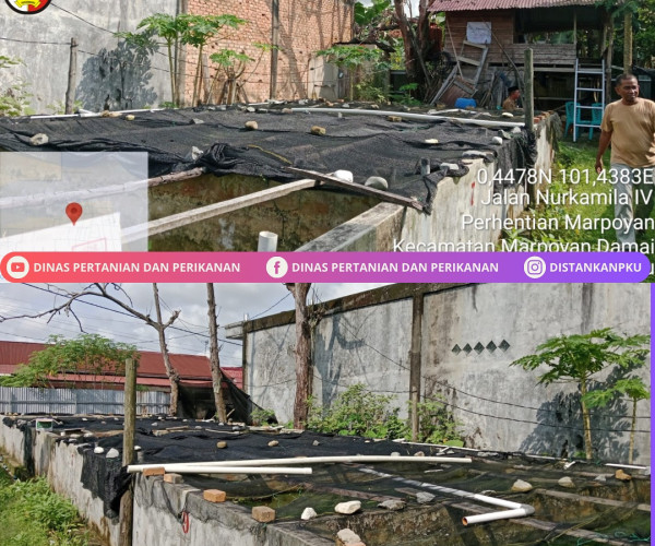 Survey Lokasi CP/CL di Pokdakan Kartama Indah Lestari