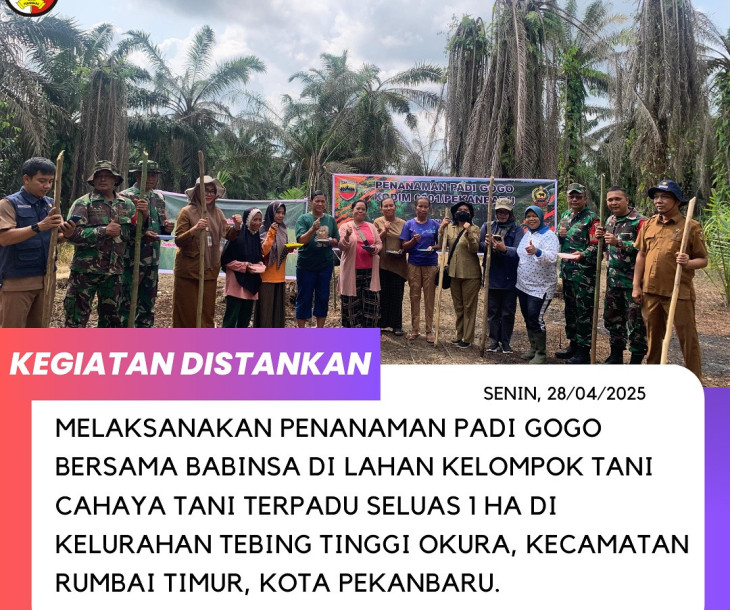Penanaman Padi Gogo Bersama Babinsa di lahan Kelompok Tani Cahaya Tani Terpadu
