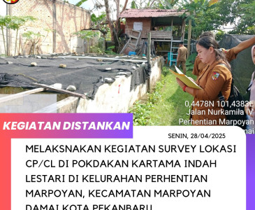 Penanaman Padi Gogo seluas 1 Ha yang dilaksanakan bersama Babinsa di lahan Kelompok Tani Beringin Jaya