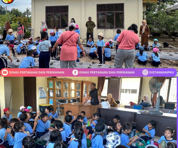 Kunjungan dari Murid-Murid SD Kusuma Kota Pekanbaru dalam hal Pengenalan dunia Pertanian secara umum