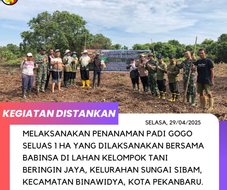 Penanaman Padi Gogo seluas 1 Ha yang dilaksanakan bersama Babinsa di lahan Kelompok Tani Beringin Jaya