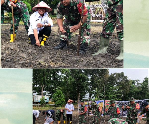 Penanaman Padi Gogo seluas 1 Ha Bersama Babinsa dan Kelurahan Sialang Munggu yang dilaksanakan di Lahan Kelompok Tani Swadaya Mandiri