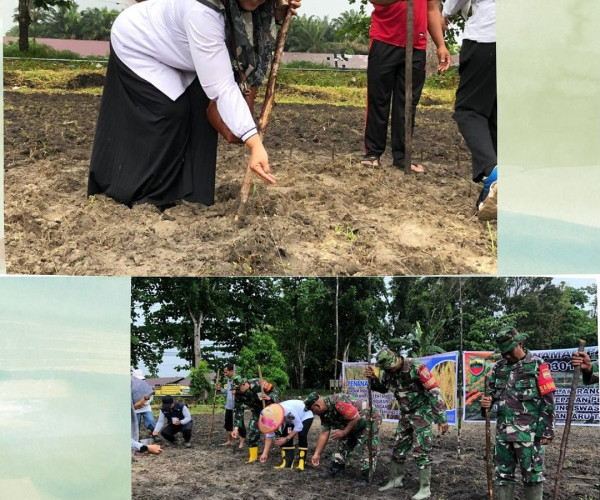 Penanaman Padi Gogo seluas 1 Ha Bersama Babinsa dan Kelurahan Sialang Munggu yang dilaksanakan di Lahan Kelompok Tani Swadaya Mandiri