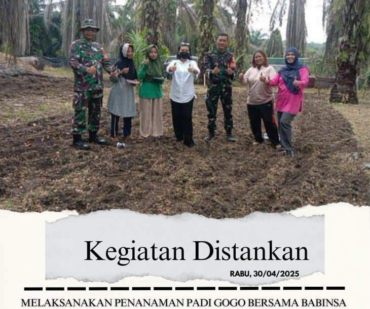 Penanaman Padi Gogo Bersama Babinsa dan BSIP di lahan Kelompok Tani Cahaya Tani Terpadu
