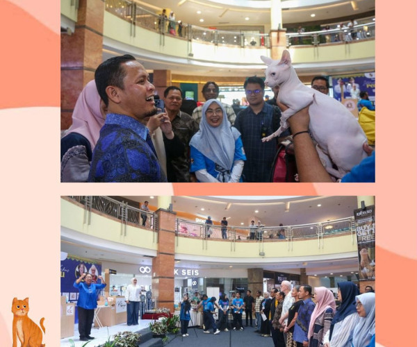Kegiatan International Cat Show Pekanbaru