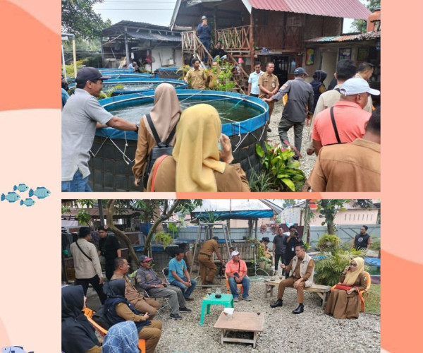 kelompok pembudidaya untuk suplay ke SPPG pada kegiatan MBG
