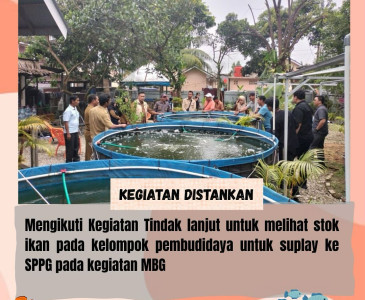 Bersama Walikota Pekanbaru, Bapak H. Agung Nugroho, S.E., M.M. Mengikuti Kegiatan International Cat Show Pekanbaru dalam rangka Memeriahkan Hari Jadi Ke-241 Pekanbaru