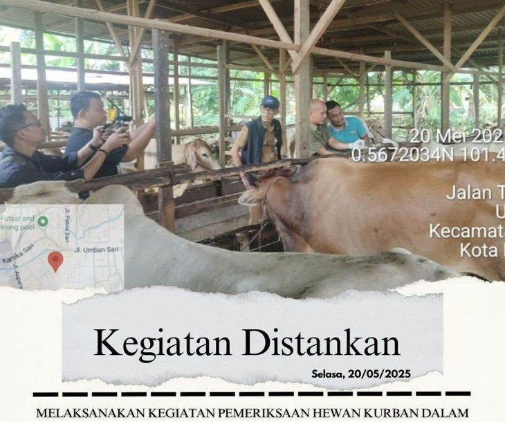 Pemeriksaan Hewan Kurban dalam Rangka Menyambut Hari Raya Idul Adha Tahun 2025 M / 1446 H di Lokasi Pemeliharaan dan Penjualan Hewan Kurban Se- Kota Pekanbaru