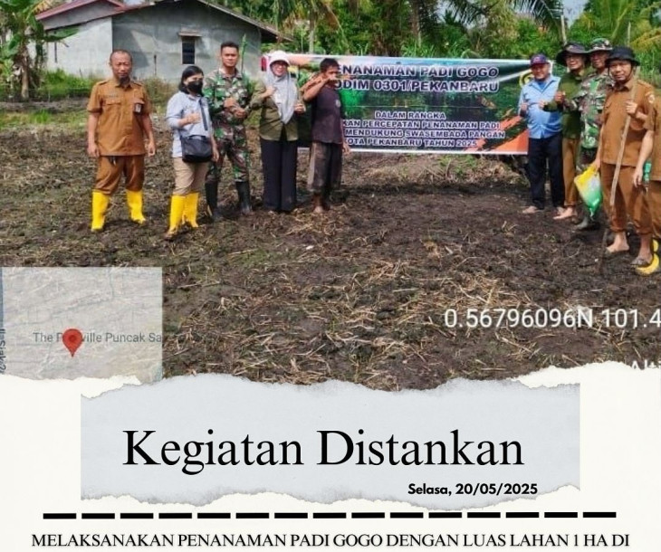 Penanaman Padi Gogo dengan Luas Lahan 1 Ha di Kelompok Tani Binaan Dinas Pertanian dan Perikanan Kota Pekanbaru, Kelompok Abdul Farm