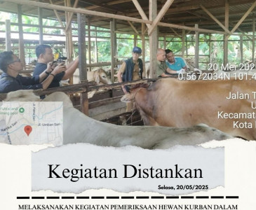 Penanaman Padi Gogo dengan Luas Lahan 1 Ha di Kelompok Tani Binaan Dinas Pertanian dan Perikanan Kota Pekanbaru, Kelompok Abdul Farm