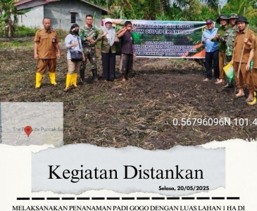 Pemeriksaan Hewan Kurban dalam Rangka Menyambut Hari Raya Idul Adha Tahun 2025 M / 1446 H di Lokasi Pemeliharaan dan Penjualan Hewan Kurban Se- Kota Pekanbaru