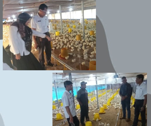 Monitoring Usaha Peternakan yang bermitra dengan PT Charoen Pokphand