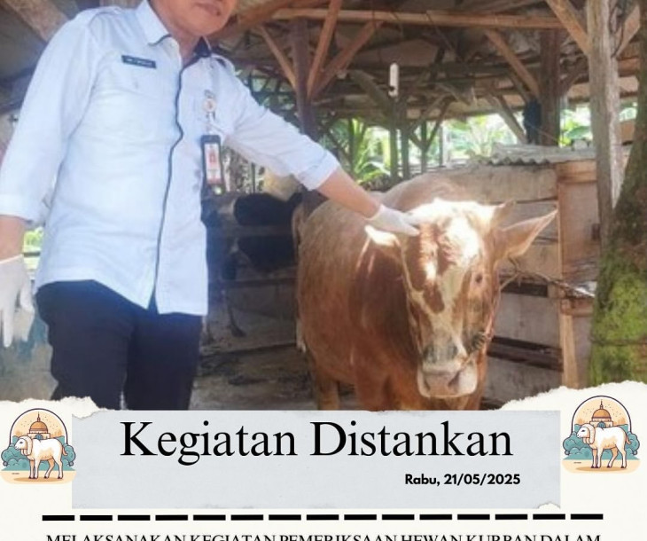 Pemeriksaan Hewan Kurban dalam Rangka Menyambut Hari Raya Idul Adha