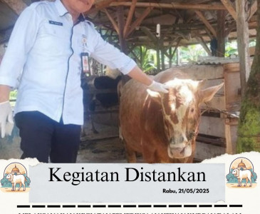 Penanaman Padi Gogo dengan Luas Lahan 1 Ha di Kelompok Tani Binaan Dinas Pertanian dan Perikanan Kota Pekanbaru, Kelompok Abdul Farm