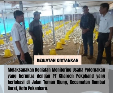 Pemeriksaan Hewan Kurban dalam Rangka Menyambut Hari Raya Idul Adha