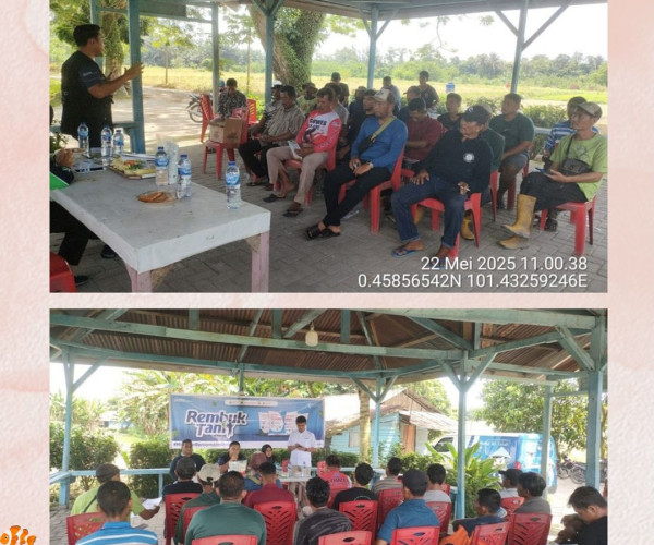 Sosialisasi Pemupukan berimbang bersama PIHC