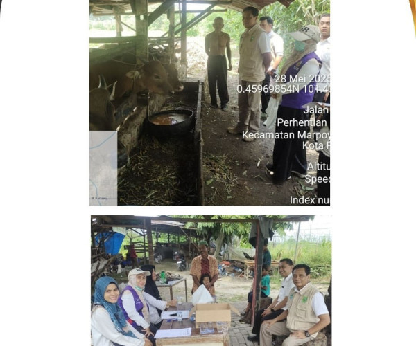 Pemeriksaan Hewan Kurban di Kecamatan Marpoyan Damai dan Kecamatan Bukit Raya