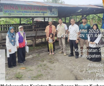 Penanaman Padi Program LTT(Luas Tambah Tanam) Padi Gogo seluah 1 Ha di Lahan Kelompok Tani Fajar Jaya