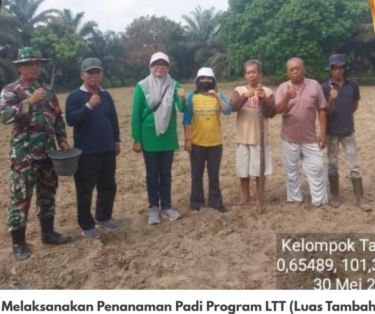 Penanaman Padi Program LTT(Luas Tambah Tanam) Padi Gogo seluah 1 Ha di Lahan Kelompok Tani Fajar Jaya