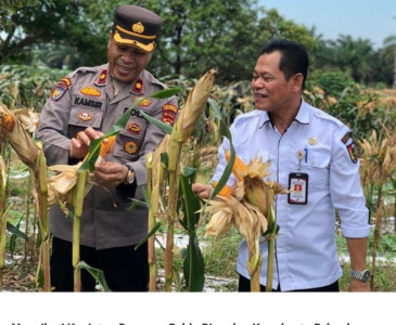 Menerima Kunjungan Awal dari Bapak Mohammed Hosnie Shahiran Bin Ismail Sebagai Konsulat Malaysia