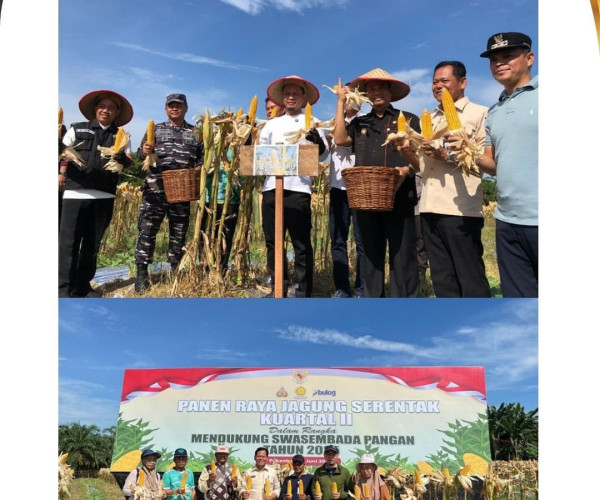 Panen Raya Jagung Pipil Serentak Kuartal II Tahun 2025