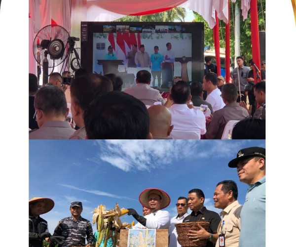 Panen Raya Jagung Pipil Serentak Kuartal II Tahun 2025