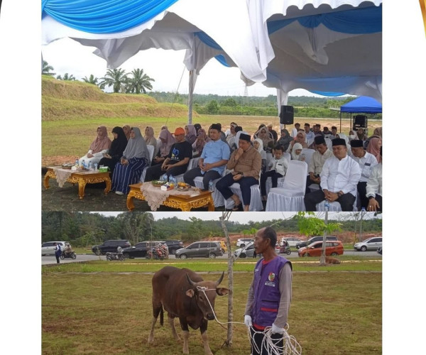 Kegiatan Penyembelihan Hewan Kurban bersama Walikota Pekanbaru