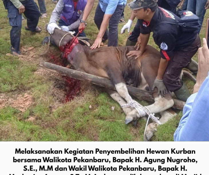 Kegiatan Penyembelihan Hewan Kurban bersama Walikota Pekanbaru