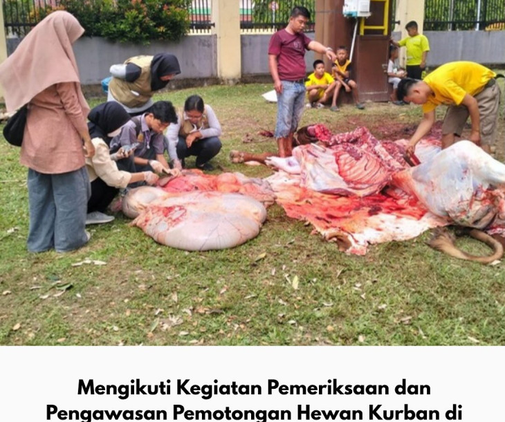 Pemeriksaan dan Pengawasan Pemotongan Hewan Kurban di Mesjid-Mesjid yang ada di Kota Pekanbaru