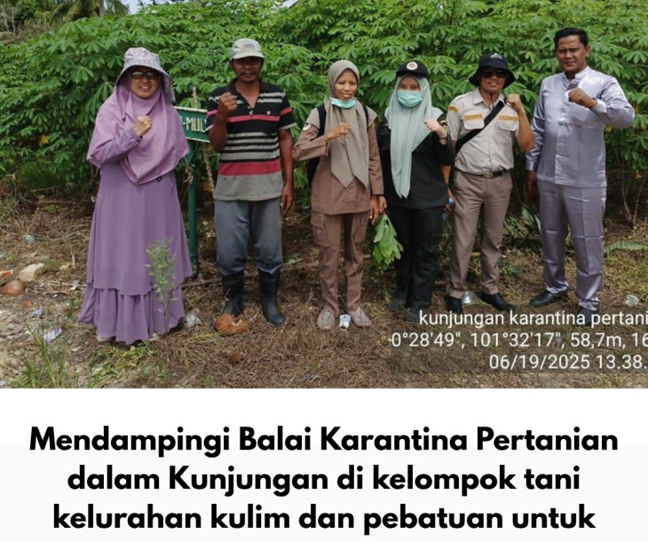 Pendampingan Kegiatan Pengambilan Sampel Penyakit Tanaman Ubi Kayu dan Jagung oleh Balai Karantina Pertanian