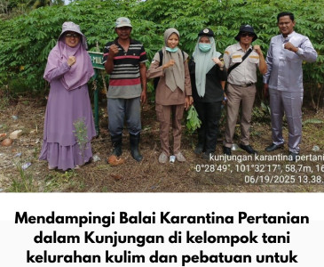 Peninjauan lokasi lahan siap tanam Jagung Pipil Poktan Sahabat Dapur Ummat Kelurahan Sidomulyo Barat