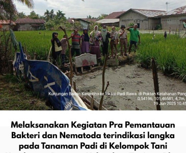 Pelaksanaan Surveilans, Pengambilan Sampel, dan KIE Terkait Kematian Itik di Kelurahan Pebatuan, Kecamatan Kulim