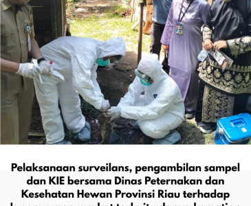 Dinas Pertanian dan Perikanan Kota Pekanbaru Tinjau Persiapan Tanam Padi Gogo di Kecamatan Rumbai