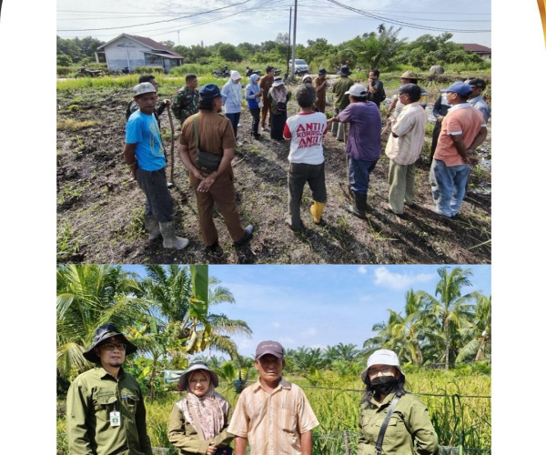 Dinas Pertanian dan Perikanan Kota Pekanbaru Tinjau Persiapan Tanam Padi Gogo di Kecamatan Rumbai