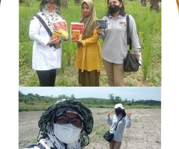 Dinas Pertanian dan Perikanan Kota Pekanbaru Lakukan Monitoring tanaman Padi Poktan Cahaya Tani Terpadu, PEMURI di Kelurahan Tebing Tinggi Okura