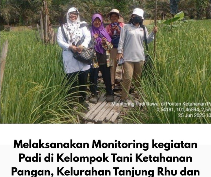 Dinas Pertanian dan Perikanan Kota Pekanbaru Lakukan Monitoring tanaman Padi di Rumbai dan Okura