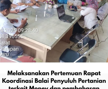 Dinas Pertanian dan Perikanan Kota Pekanbaru Lakukan Monitoring tanaman Padi di Rumbai dan Okura