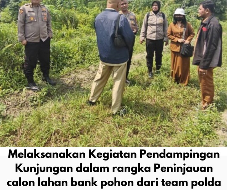 Dinas Pertanian dan Perikanan Kota Pekanbaru Dampingi Tim Polda Riau Tinjau Calon Lahan Bank Pohon di Kelurahan Limbungan