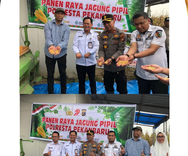 Foto bersama Kepala Dinas Pertanian Pekanbaru dengan tim terkait