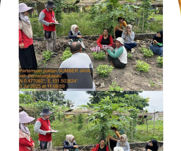 Dinas Pertanian dan Perikanan Kota Pekanbaru Laksanakan Monitoring Pupuk Bersubsidi di Kecamatan Kulim