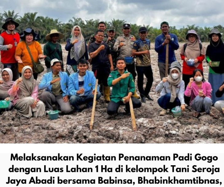 Dinas Pertanian dan Perikanan Kota Pekanbaru Gelar Kegiatan Penanaman Padi Gogo di Kecamatan Kulim