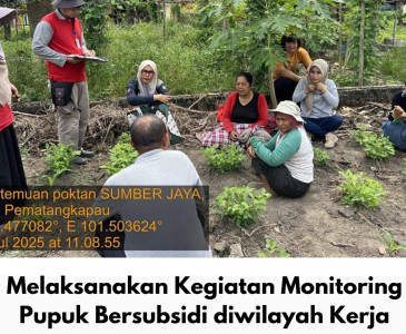 Kepala Dinas Pertanian dan Perikanan Kota Pekanbaru Tinjau Lokasi Lahan Jagung Pipil 10 Hektare di Tenayan Raya