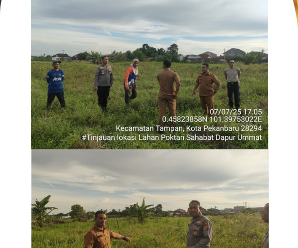 Dinas Pertanian dan Perikanan Kota Pekanbaru melalui Koordinator Balai Penyuluh Pertanian (BPP) Tampan, Bapak Muhammad Darno, S.P., M.M.A., melaksanakan kegiatan peninjauan lokasi penanaman jagung pipil yang dikelola oleh Kelompok Tani Sahabat Dapur Ummat