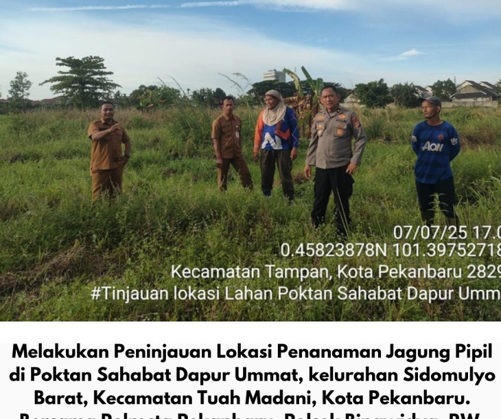 BPP Tampan Tinjau Lokasi Penanaman Jagung Poktan Sahabat Dapur Ummat di Kecamatan Tuah Madani