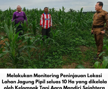 Kepala Dinas Pertanian dan Perikanan Kota Pekanbaru Tinjau PT. Kiat Ananda Cold Storage di Kawasan Pergudangan Platinum