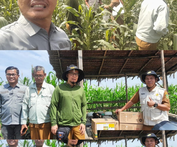 Tim dari UPT Perlindungan TPH Provinsi Riau dan Dinas Pertanian Pekanbaru menyerahkan bantuan pestisida kepada Poktan Agro Mandiri Sejahtera