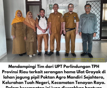 Dinas Pertanian dan Perikanan Kota Pekanbaru Laksanakan Monev Pendistribusian Pupuk Bersubsidi di Poktan Subur Jaya