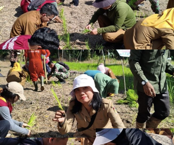 Dinas Pertanian dan Perikanan Kota Pekanbaru melaksanakan kegiatan penanaman padi gogo seluas 1 hektar di Kelompok Tani Harum Sari Jaya, yang berlokasi di Kelurahan Limbungan, Kecamatan Rumbai