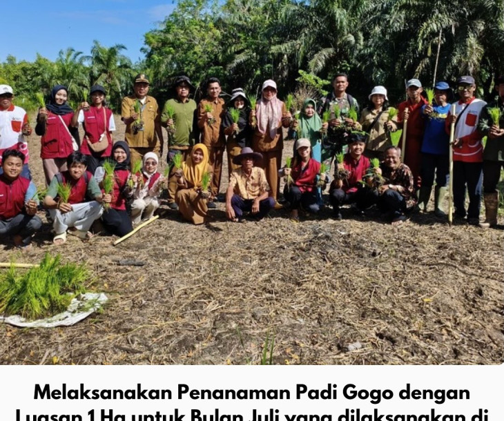 Dinas Pertanian dan Perikanan Kota Pekanbaru Laksanakan Penanaman Padi Gogo di Kelurahan Limbungan